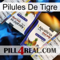Tiger Pills 12
